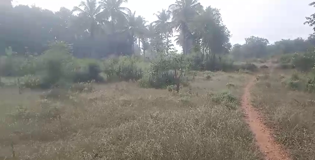 2 acre farm land for sale in Malvalli- Mandya